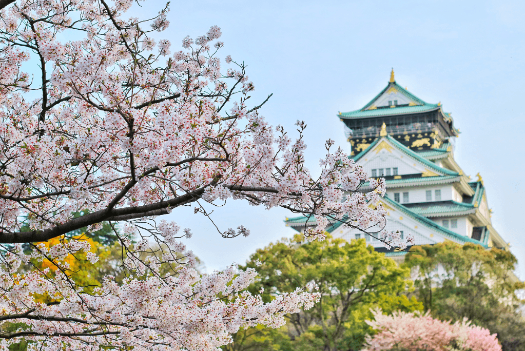 Индонезия и Бали